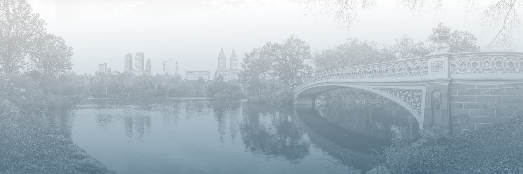 New York City Therapist
